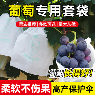 Grape Bagging Fruit Bag Translucent Lotus Mist Grape Smart Paper Bag Grape Bagging Anti-Bird and Insect Bag