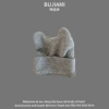 2 bull horn wool cap