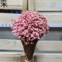 �����M��С�ǻ�����������С�����ֹ�diy��ָ�л��ļҾӻ�ˇ�b�