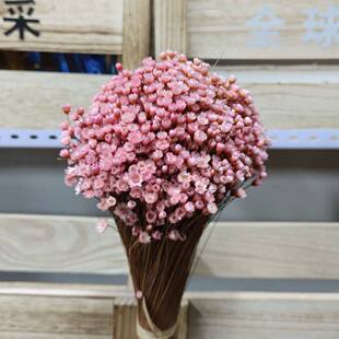 �����M��С�ǻ�����������С�����ֹ�diy��ָ�л��ļҾӻ�ˇ�b�