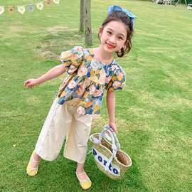 2025夏装女童套装短袖夏季防蚊裤女童T恤薄款儿童两件套韩系裤子