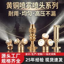 黄铜喷雾喷头农用高压雾化喷嘴园林灌溉打药除尘植保喷雾器配件