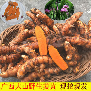 �V��Ұ���ｪ�S���rС�S�����ӽ��t����ɫŴ��Ⱦɫ̩�����S���l