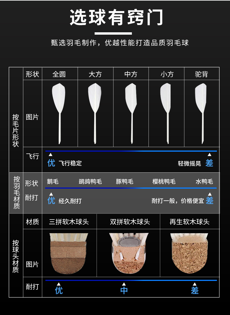 羽毛球_06