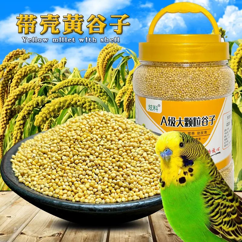 厂家批发精品瓶装大颗粒黄谷子文鸟玉鸟金丝雀芙蓉鸟虎皮鸟粮鸟食