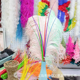 鸵鸟羽毛杆子彩色帽子舞台装饰道具DIY饰品手工辅料 鸵鸟毛杆梗