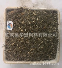 甜叶菊渣 菊花粉 苹果渣 绿色松针粉鸡饲料  适用于兔羊鸡
