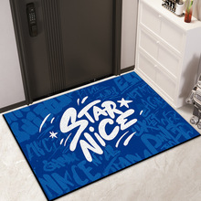 玄关进门丝圈门垫美式创意小清新新款加厚蹭泥蹭土防尘家用脚垫