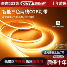 ����cob�ƴ�˫ɫ�������޼��������˫��Ƥ���εƶ��ѽ����ֻ�APP