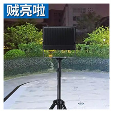 led֧��Ͷ�������Ƅ����֧�ܹ��ع��I����̽�չ�����܇����