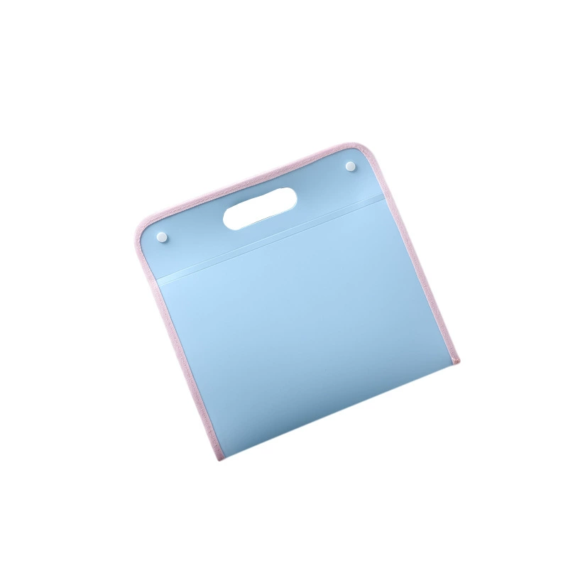 Capacious storage bag for elementary school students for documents, handheld storage system, organ, 13 floors
