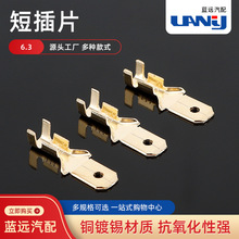 �F؛���� 6.3�̲�Ƭ ��܇�Ӿ����Ӳ�Ƭ �S�~���ӎ��̲�Ƭ�Ӳ��