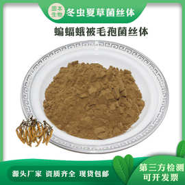 蝙蝠蛾被毛孢菌丝体 冬虫夏草菌丝体 蝙蝠蛾被毛孢 厂家现货包邮