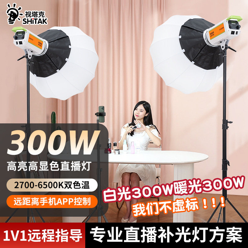 300W直播补光灯主播直播间打光灯 影棚拍摄LED摄影灯深抛灯球型灯
