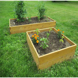 杉木户外种植箱种植花床颜色尺寸logo育苗箱