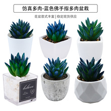 现货仿真多肉蓝色佛手指盆栽桌面摆件迷你绿植盆景TEMU仿真植物