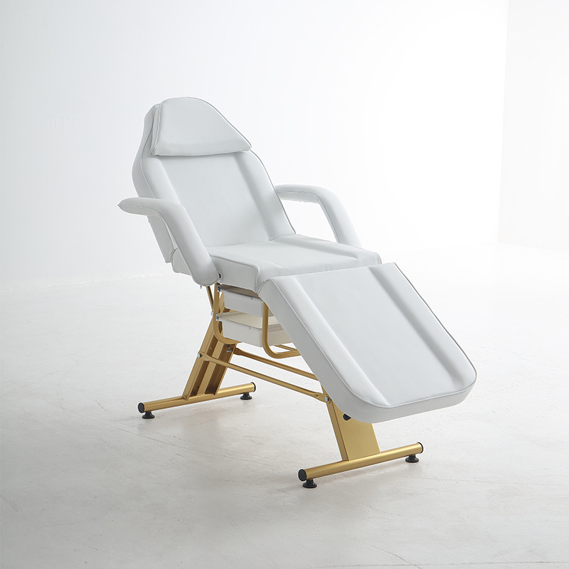 Cama de belleza especial para salón de belleza, cama de masaje multifuncional plegable de doble propósito, masaje, cama de tatuaje micro plástico, cama de bordado