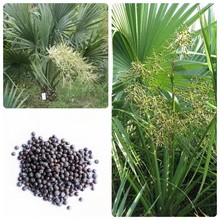 [طNľN[NؙNطNӰײɳ͙ļ