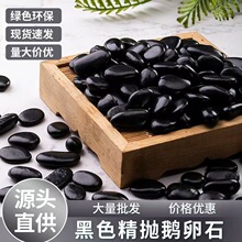 50斤包邮抛光黑色鹅卵石微景观石子瓜米石黑色雨花石黑石子小石头