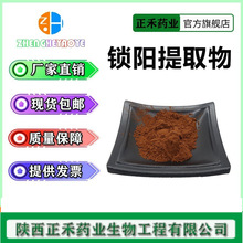 锁阳提取物10:1  30:1 锁阳粉 另有锁阳生物碱 量大从优