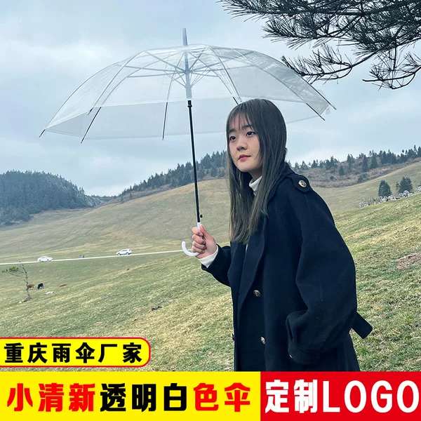 Transparent Umbrella Wholesale Transparent Automatic Long Handle Straight Umbrella Internet Celebrity Japanese and Korean Style Creative Small Fresh Sunny Umbrella Transparent