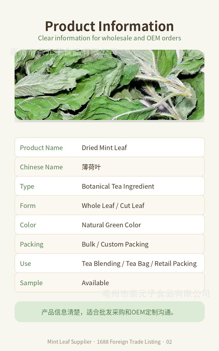 Dried Peppermint Leaf Bo He 薄荷叶 Herbal Tea Ingredient 500g overview