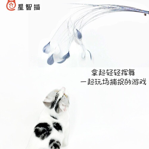 New Cat Toys Rainbow Ribbon for Entertaining Interactive Cat Toys with Colorful Feather Bells Cat Stick Direct Manufacturer Supply