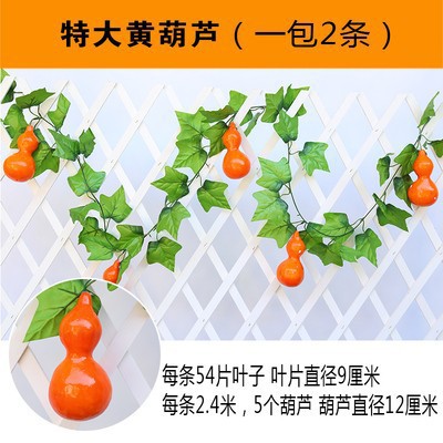 큰 주황색 조롱박