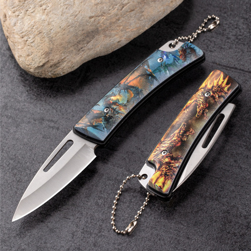 Factory Outdoor High Hardness Small Knife Folding Mini Pocket Portable Personal Fruit Knife Sharp Key Knife