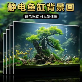 �����~���N�o��NĤ���~��ˮ�����쾰�b͏d��������ױ����N��