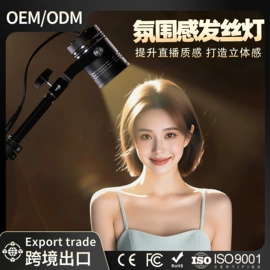 补光灯;摄影摄像灯具;摄影摄像器材