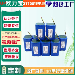 21700リチウム電池パックは掃除機医療蚊取り筋膜銃電子玩具銃充填ポンプリチウム電池を適用する