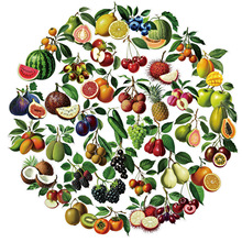 56羳¿ֲˮPET͸NDIY֙CbˮN