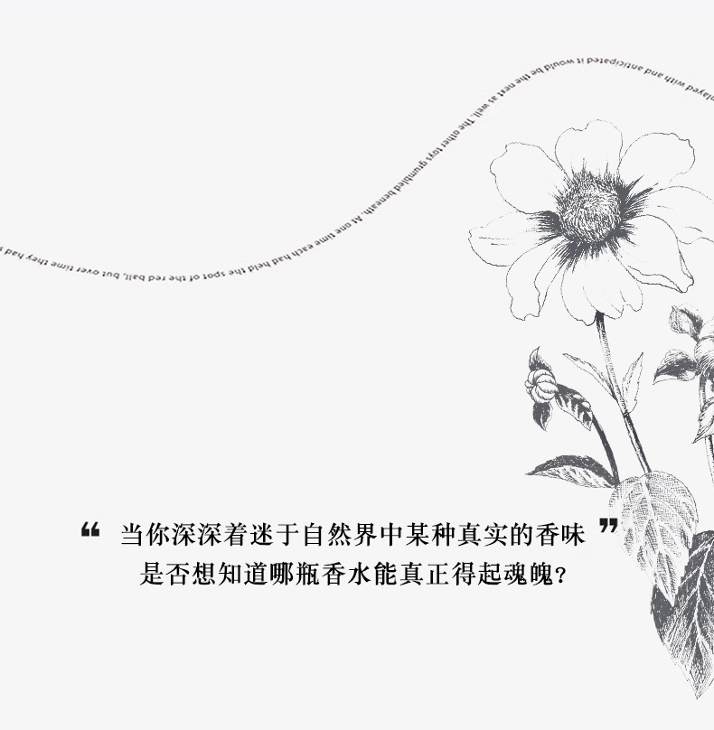 Xiaocheng Yixiang's new women's perfume, featuring gardenia, osmanthus and Yulong tea, has a long-lasting fragrance and is a bestseller on Douyin. Wholesale Specification drawing