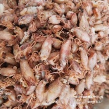 新货小海兔干货500克级海兔子小鱿鱼墨鱼仔籽乌乌贼干笔管鱼干