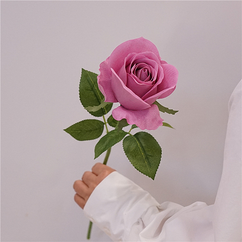 촉촉한 느낌의 로즈 퍼플 그레이