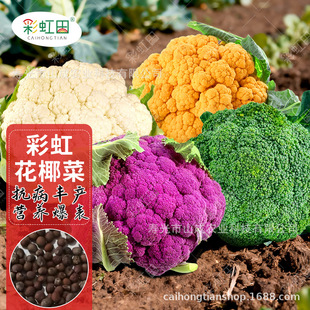 �ʺ绨Ҭ�˷N���ϻ��˷N�Ѵ����ļ��ձ����M�S�˻��ɻ����߲˷N��