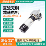 24V微型无刷直流电动机减速箱传动齿轮箱噪音低高铁售票专用电机