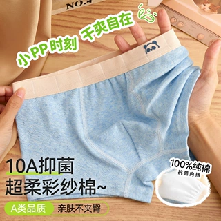 儿童内裤男童纯棉a类棉男孩发育期夏薄款10-15岁青少年18大童男宝
