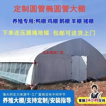 BֳǼܼÜұظBuţBiȫ