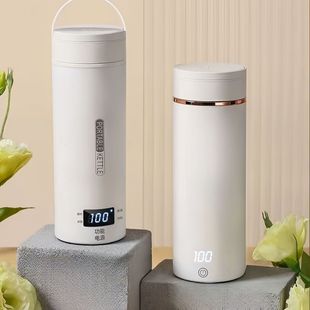 Portable Mini Kettle, Travel Kettle, Electric Heating Kettle, Electric Hot Water Cup, Cross-Border Direct Supply
