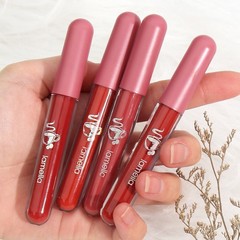 Lip Glaze Wholesale, Matte Velvet, Student-Friendly Matte Moisturizing Lip Tint, Liquid Lipstick, Water-Based Lip Balm, Women's Lip Color, Lip Mud