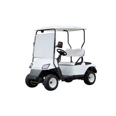 Reception, Rv Golf Cart, Elektrikli qolf avtomobilləri