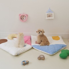 新しい韓国風ins四季対応ハウス型犬小屋、可愛いペット用猫・犬用シートマット、純綿厚手大型ペット用