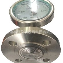 供应膜片式压力表YPF-100隔膜压力表