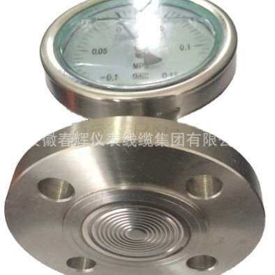 供应膜片式压力表YPF-100隔膜压力表