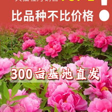ĵ�����������Դ����ļ��ذ껨��ĵ������������ڎ�����ĵ�����N