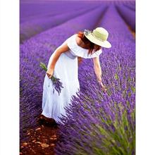 ޹�²ݷN���ļ����N�_��ͥԺ����ֲ���̨�����׻��҃��⻨�N����