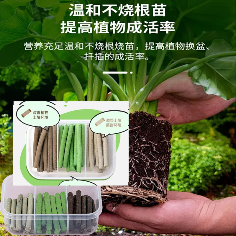 三色植物营养棒缓释棒盆栽花卉多肉通用型缓释营养棒养花肥急救棒|undefined