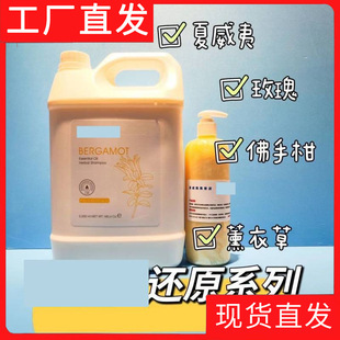 Musen Hall Pet Bath for Dogs and Cats Universal Shampoo Fragrance Teddy Hygienating Dog Bath Gel Darjeeling Tea Sub-pack